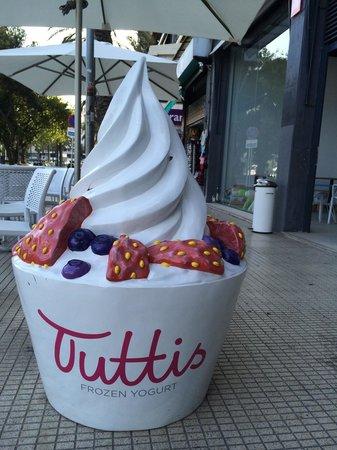 Tuttis Frozen Yogurt
